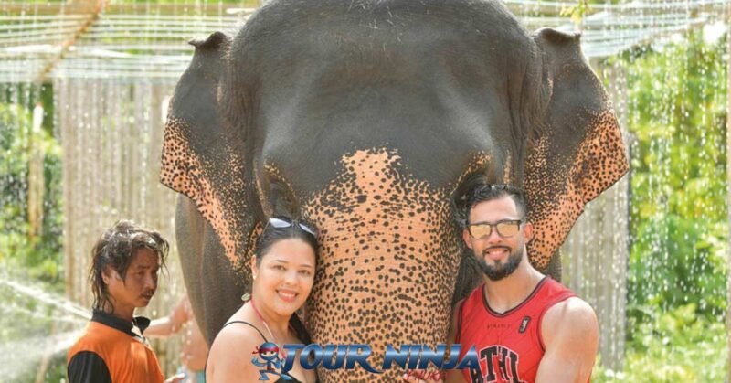 feed-shower-elephant-e4f happy couple with elephant and mahout in rain shower