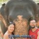 happy couple with elephant and mahout in rain shower