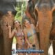 elephants in rain-shower joined by happy female tourists at phuket sanctuary