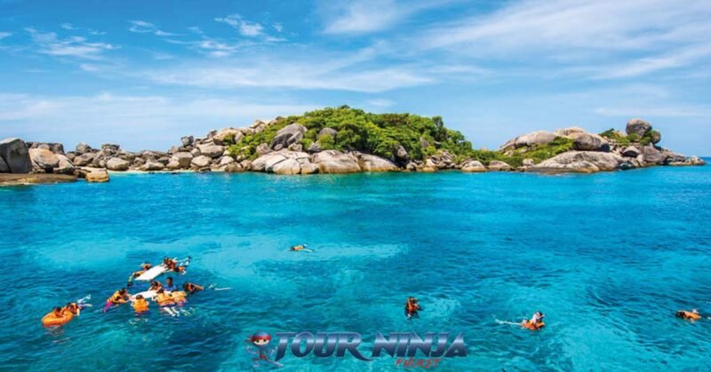 similan-island-daytrip-snorkeling-1 similan islands daytrip with multiple customers wearing orange life jackets snorkeling in the crystal clear blue sea