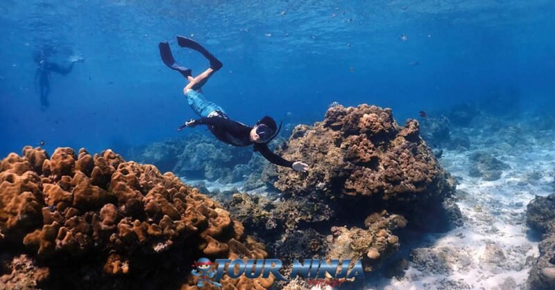 snorkeling-daytrip-racha-island-s8 racha islands blue clear water with a snorkeler fully submerged in shallow water watching some large hard coral boulders