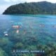 surin island daytrip with multiple snorkelers swimming above the coral reef in its crystal clear blue sea