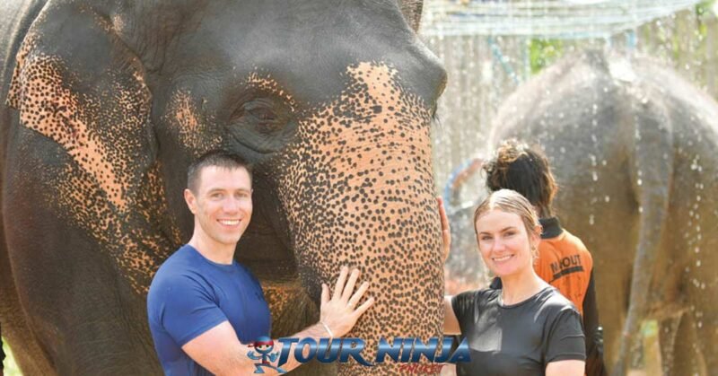 visitor-friendly-phuket-tour-elephant-e3 happy tourist couple posing with asian elephant for picture at phuket sanctuary