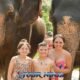 happy mother with two children posing in front of two elephants at phuket sanctuary park
